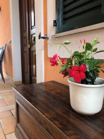 Apartamento Il Giardino Delle Rose Spello Exterior foto