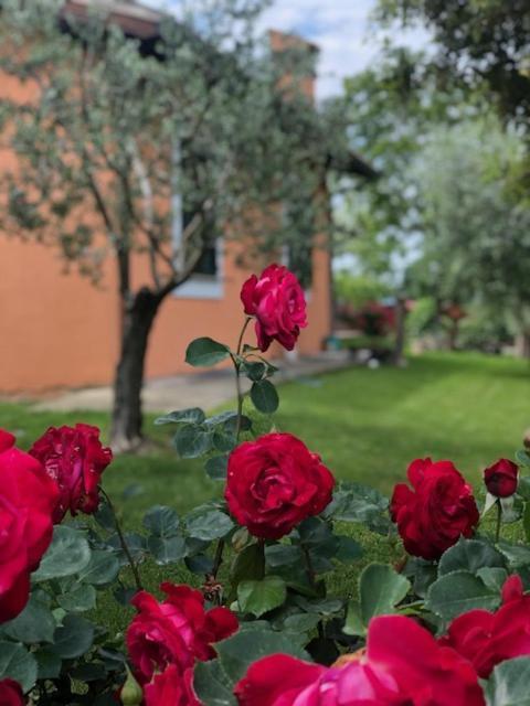 Apartamento Il Giardino Delle Rose Spello Exterior foto