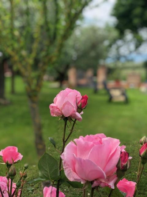 Apartamento Il Giardino Delle Rose Spello Exterior foto